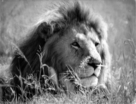 AFRIKA1_Foto1