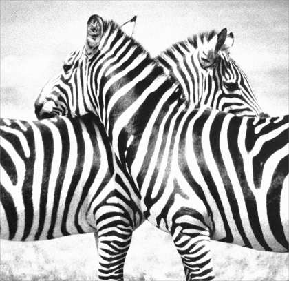 AFRIKA2_Foto1