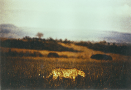 AFRIKA4_Foto1